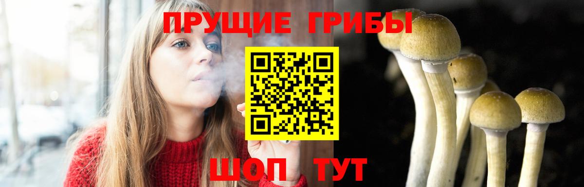 Псилоцибиновые грибы GOLDEN TEACHER Ялуторовск